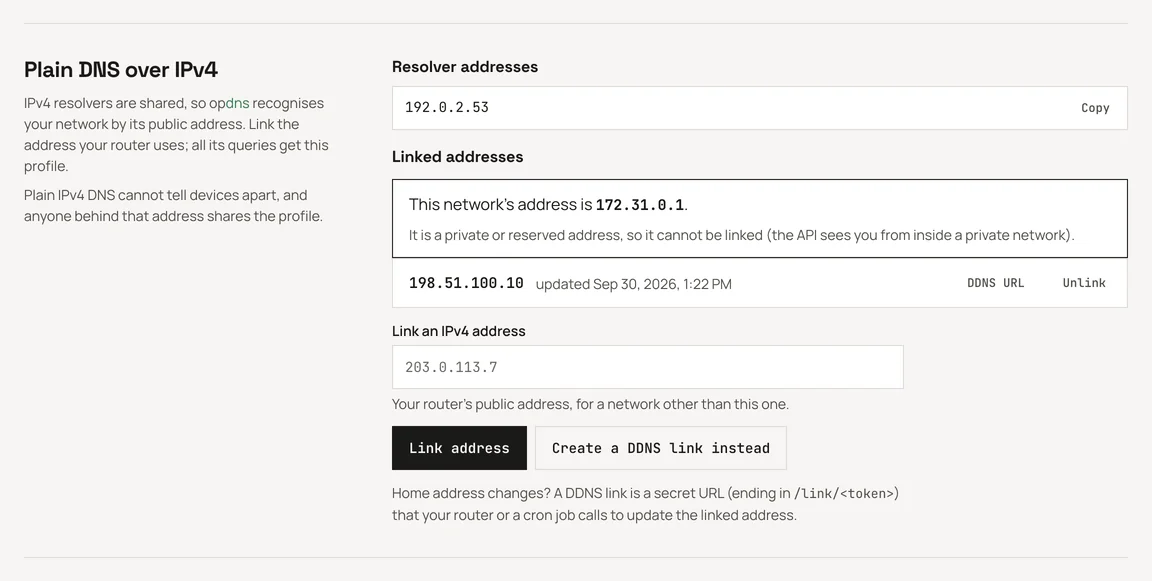 The Setup page's Plain DNS over IPv4 section: the resolver address, this network's address (private here, so it cannot be linked), one linked address with its DDNS URL and Unlink actions, and the Link an IPv4 address field.